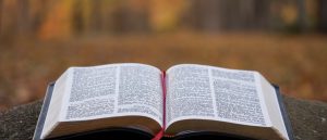 bible page on gray concrete surface